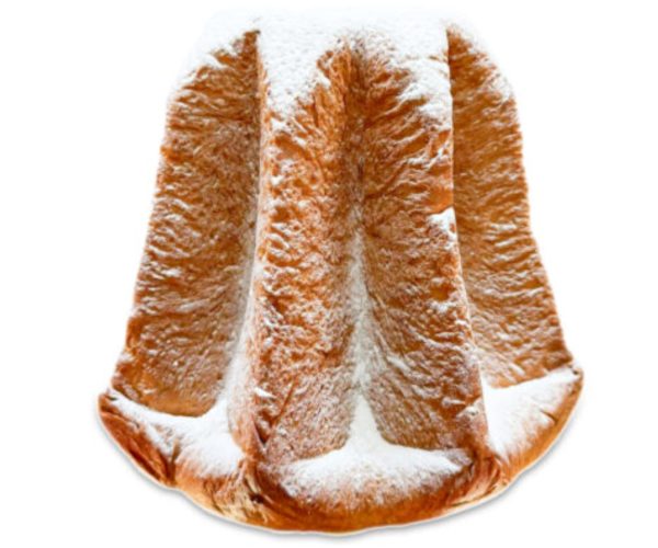 InShot_20251128_203017132